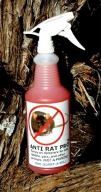 Anti Rat Pro Single Bottle